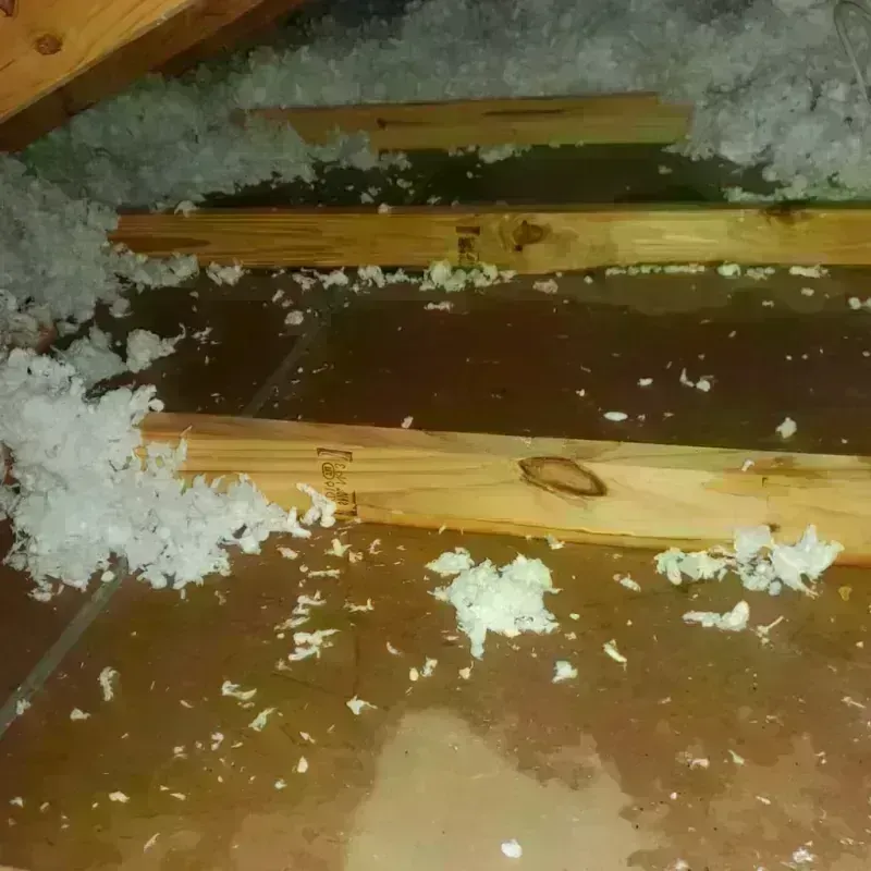 Attic Water Damage in American Canyon, CA