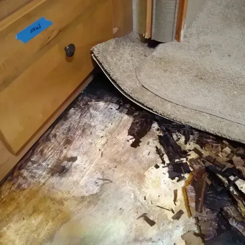 Wood Floor Water Damage in American Canyon, CA